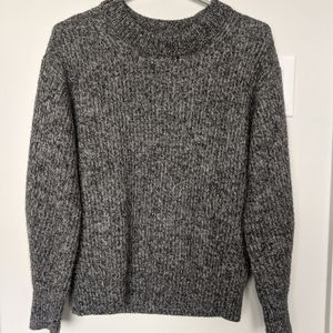 Everlane Oversized Alpaca Crew